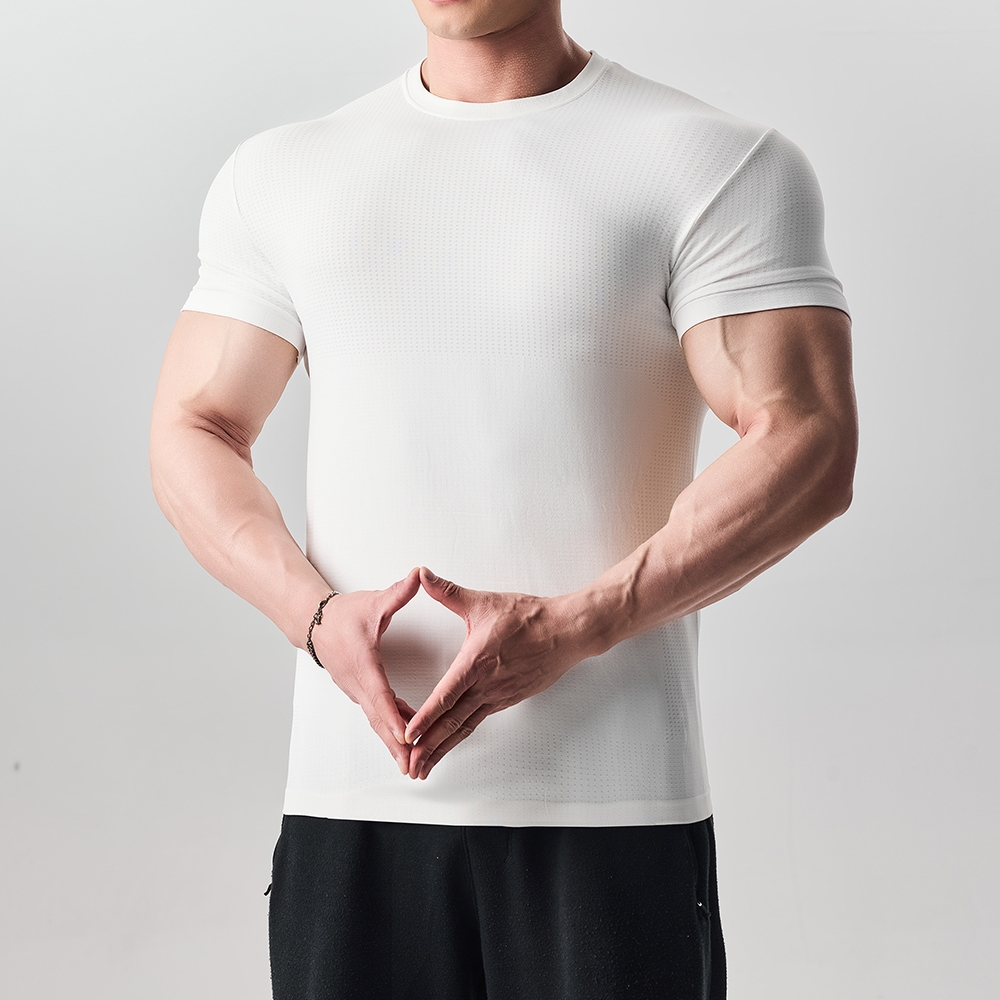 Gymdog Men's Seamless T-Shirt  - đánh giá và giá T Shirt Dry Fit